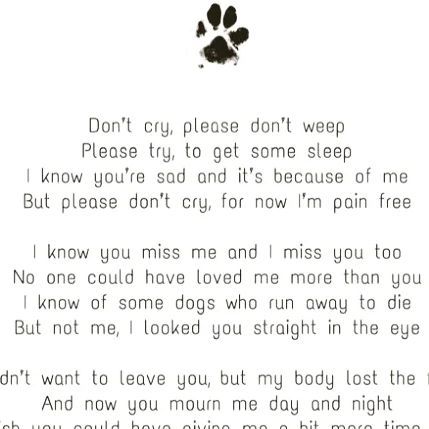 Quotes For A Dog That Passed, Dog Quotes Saying Goodbye, Message From Dog In Heaven, Love A Dog Quotes, We Don’t Deserve Dogs Quotes, Passed Dog Quotes, Goodbye To Pets Dogs, Losing Your Childhood Dog Quotes, Prayers For Pet Loss