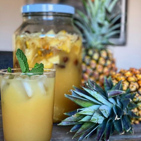 Pineapple Beer Recipe Alcoholic, Pineapple Mead Recipe, Pineapple Probiotic Drink, Ginger Beer Pineapple Mocktail, Soaked Pineapple Alcohol, Hard Cider Recipe, Pineapple Beer, Beer Recipes Homebrew, Homemade Ginger Beer