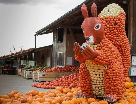 Biggest Pumpkin, Fall Fun, Zurich, Switzerland