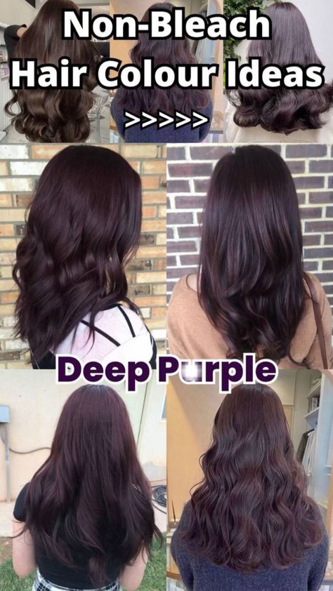 Deep purple Non Bleach Hair Color, Deep Purple Hair, Bleach Hair Color, Bleach Hair, Bleached Hair, Hair Color Ideas, Purple Hair, Hair Highlights, Deep Purple