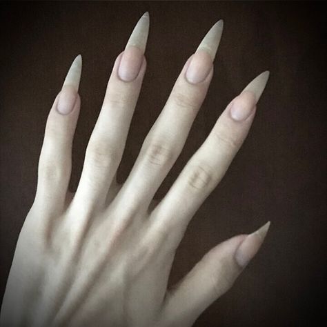 Hallographic Nails, Nails Dark, Sharp Nails, Fairycore Grunge, Grunge Fairycore, Aesthetic Nails, Grunge Nails, Trening Fitness, Fairy Aesthetic