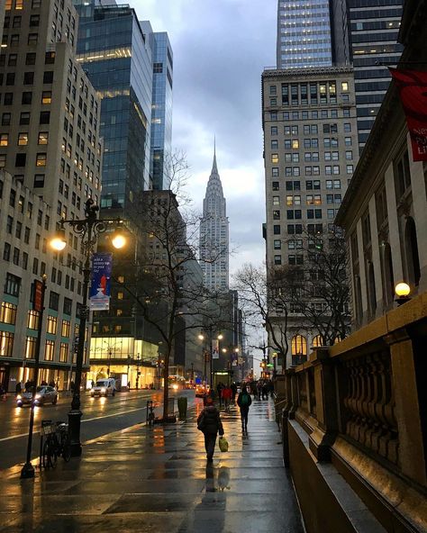 Gloomy morning yesterday along 42nd Street by the New York Public Library. #42ndstreet #bryantpark #nypl #newyorkpubliclibrary #chryslerbuilding #manhattan #newyork #nyc #newyorkcity #seeyourcity #nycprimeshot #newyork_ig #newyork_world #newyork_instagram #instagramnyc #instagram_nyc #loves_nyc #icapture_nyc #wildnewyork #what_i_saw_in_nyc #thenewyorklifeinc #colorofnyc #colorofnewyork #ig_nycity #ptk_streetview #ig_shutterbugs #ig_great_shots_nyc Christophe Jacrot, Gloomy Morning, The City At Night, City At Night, 42nd Street, New York Life, City That Never Sleeps, Dream City, Nova York