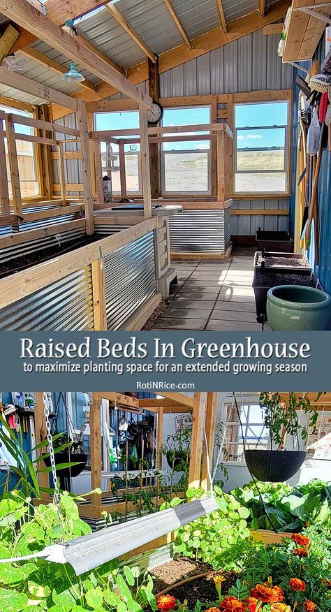 Raised Bed In Greenhouse, Greenhouse Veggie Garden, How To Set Up A Greenhouse, Greenhouse Set Up Inside, Raised Bed Greenhouse, Terraced Vegetable Garden, Greenhouse Planting, Indoor Planting, Vegetable Garden Beds