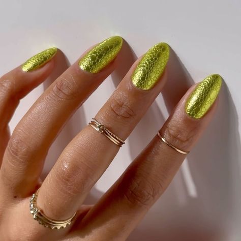 22 Fall Gel Nail Ideas You'll Want to Wear For Weeks Fall Gel Nail Ideas, Gel Nail Ideas, Color French Manicure, Olive Nails, Dot Nail Designs, Types Of Manicures, White Manicure, Fall Manicure, Fall Gel Nails