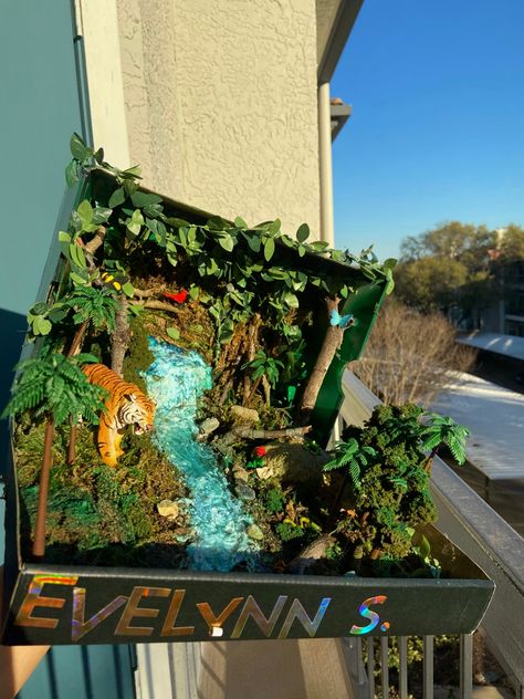 3d Jungle Project, Pantanal, Biome In A Box Project Rainforest, Woodland Forest Diorama, Rain Forest Project, 3d Forest Project, Tiger Habitat Project, Tropical Rain Forest Shoe Box Project, Tiger Diaroma