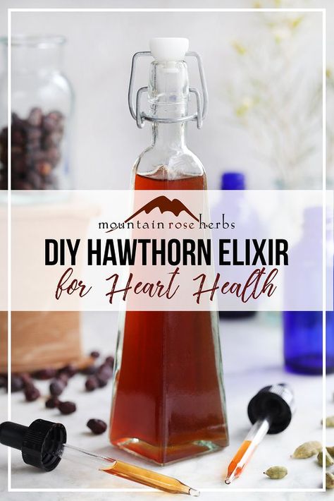 Homemade Hawthorn Berry Elixir for the Heart Health Herb Diy, Tinctures Recipes, Hawthorn Berry, Mountain Rose, Mountain Rose Herbs, Dried Berries, Herbal Tinctures, Herbal Recipes, Herbal Healing