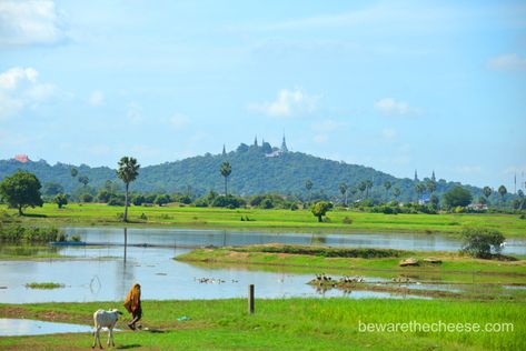 Travel Landscape Photography, Nature, Landscape Village Photography, Agriculture Future, Landscape Reference Photos, Vietnam Landscape, Rural Photography, Best Landscape Photography, Landscape Reference