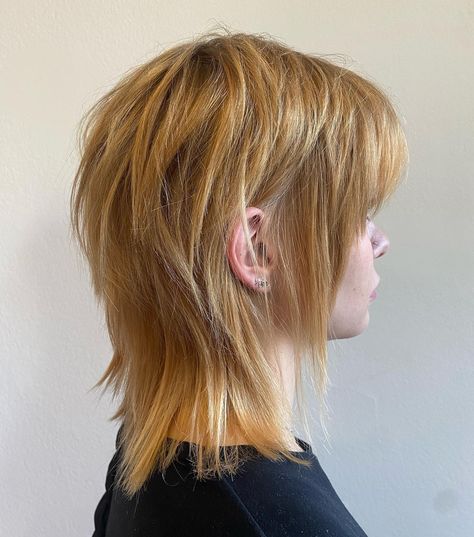 Fine Hair Mullet, Shag Cuts For Fine Hair, Wolf Shag, Shaggy Layered Haircut, A Shag Haircut, Shag Layered Hairstyles, Medium Shag Hairstyles, Layered Shag, Long Shag Hairstyles