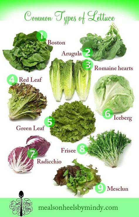 Green Leafy Vegetables, Types Of Lettuce, Asian Vegetables, Eat Happy, Fun Cakes, Green Veggies, Cooking 101, Food Charts, Slider Recipes