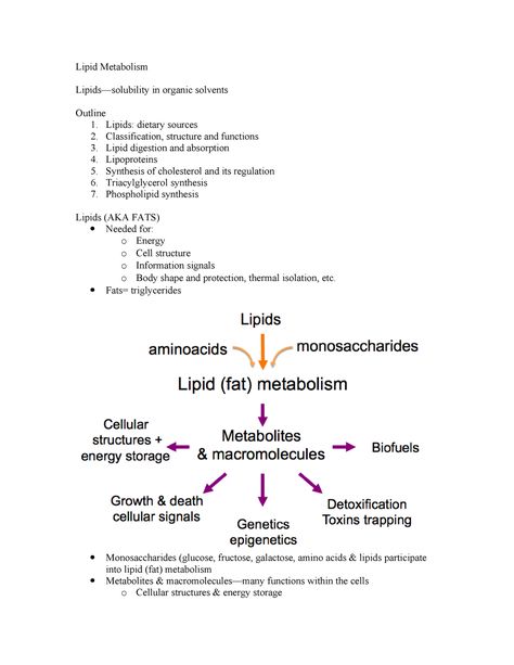 Lipid Metabolism 1 - Detailed notes - M8205 - StuDocu Lipid Metabolism Notes, Lipids Biochemistry Notes, Lipids Notes, Nutrition Notes, Lipid Metabolism, Digestion And Absorption, Bio Notes, Biochemistry Notes, Independence Day Quotes