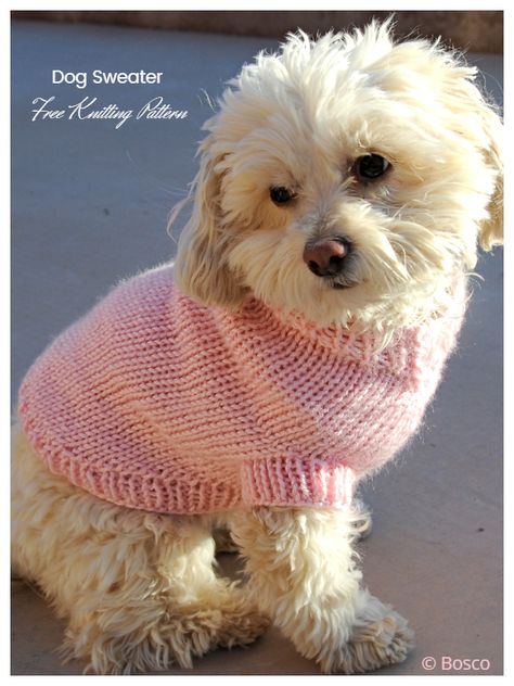 Knit Dog Sweater Free Knitting Patterns - Knitting Pattern Simple Sweater Pattern, Easy Poncho Knitting Pattern, Dog Jacket Patterns, Crochet Sweater Design, Stylish Knitwear, Dog Sweater Pattern, Poncho Knitting Patterns, Diy Sweater, Knit Dog Sweater