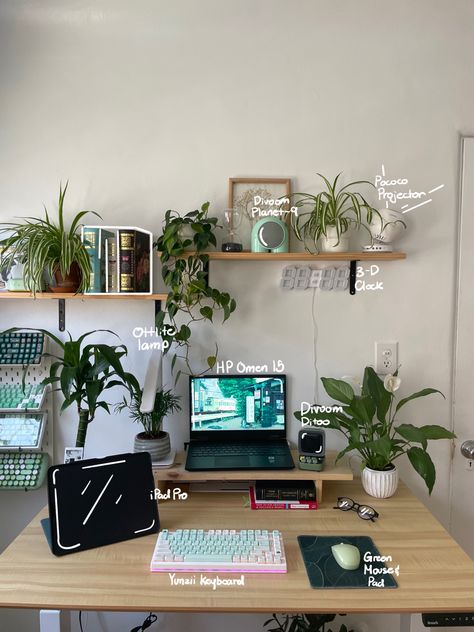 Green Standing Desk, Desk Setup University, Small Desk Aesthetic Inspiration, Work Desk Plant, Astetic Desk Set Up, Desk Shelf Aesthetic, Anatomy Desk, Desk Anatomy, Desk Area Decor