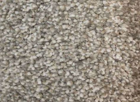 Best Carpet Colors: Abbey by Home Decorators Collection Grey Beige Carpet, What Color Carpet Goes With Gray Walls, Carpet Colors With Gray Walls, Wall To Wall Carpet Ideas, Bedroom Carpet Colors, Choosing Carpet, Home Depot Carpet, Mohawk Carpet, Neutral Carpet