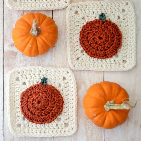 Pumpkin Granny Square Pattern Free, Fall Crochet Granny Squares, Fall Granny Square Blanket, Pumpkin Granny Square, Fall Granny Square, Halloween Crochet Projects, Granny Square Motif, Halloween Knitting Patterns, Crochet Fall Decor