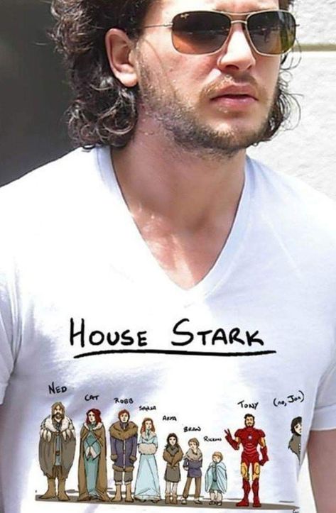 Jon Snow Art, Game Of Thrones Meme, Game Of Thrones Party, Game Of Thrones Facts, Game Of Thrones Shirts, Game Of Thrones Cast, Got Game Of Thrones, Game Of Thrones Quotes, Game Of Thrones Funny