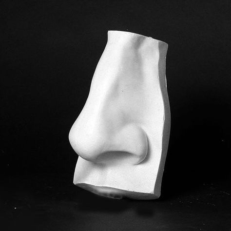 Plaster Cast Reference, Sculpture Nose, Cast Reference, Nose Sculpture, Cast Drawing, Contemporary Wall Sculptures, Anatomy Sculpture, Plaster Cast, Plaster Sculpture