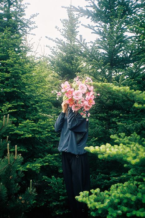 flowers in the forest Hipster Cafe, Plants Are Friends, No Rain, Alphonse Mucha, 인물 사진, Flower Child, Photography Inspo, Plant Life, Love Flowers