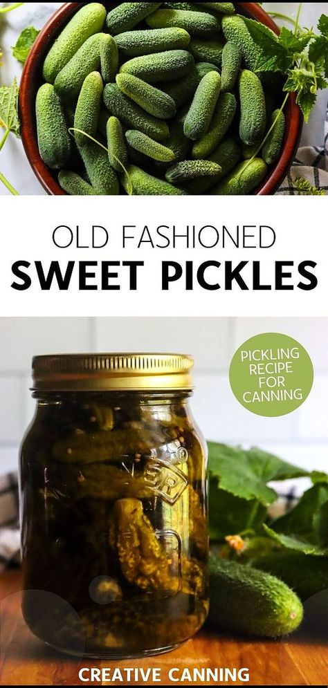 Explore Creative Canning Recipes with old fashioned sweet pickles. This 14-day pickle recipe brings back the taste of grandma’s canning pantry. Made with simple ingredients, these sweet pickles are perfect for water bath canning and long-term storage. Find more canning food preservation, cucumber pickles, and home canning recipes at creativecanning.com. Old Fashioned Canning Recipes, Canned Sweet Pickles Recipe, Sweet Pickles Homemade Canning, Pickle Cucumber Recipes, Canning Sweet Pickles, Pickles Homemade Easy, Sweet Pickles Homemade, Canning Pantry, Canning Pickles Recipe