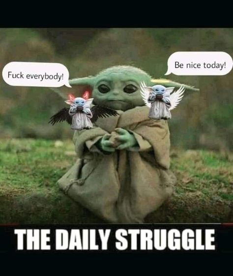 Medical Ethics, Yoda Quotes, Yoda Images, Yoda Funny, Workplace Humor, Sun Rises, Star Wars Yoda, Star Wars Pictures, Funny As Hell