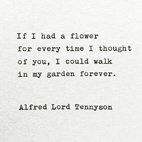 I Could Walk In My Garden Forever, A Flower For You Quote, If I Had A Flower For Every Time Quotes, Garden Of Love Quotes, Love Quotes About Flowers, Flower Love Quotes For Him, Garden Love Quotes, Alfred Lord Tennyson Poems, Flower Love Poem