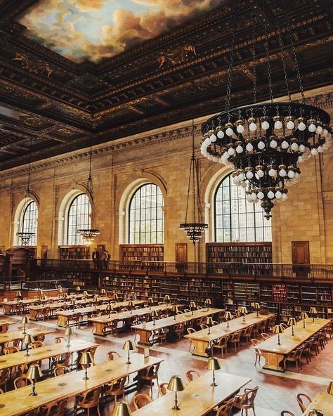 OOO: The Best Spots To Work When Your Office Is The Worst (Or Nonexistent) Ceiling Rosette, Ny Library, Banana Fish, Honeymoon Travel, Instagrammable Places, Football Field, Reading Room, New York Public Library, Ireland Travel