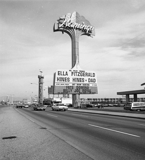 15 Rare & Old Photo’s of Las Vegas | Mega Series- Part II Las Vegas, Flamingo Hotel, Old Vegas, Las Vegas Photos, Rare Historical Photos, Las Vegas City, Vegas Casino, Vegas Trip, Vegas Baby