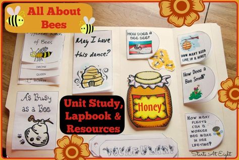 In this All About Bees Unit Study for elementary kids learn about the bees, hive, and honey. Includes a FREE labook, online resources, a book list and more! All About Bees, Bees For Kids, Bees Hive, Bees And Honey, Insect Unit, Unit Studies Homeschool, Bee Activities, Unit Study, Homeschool Science