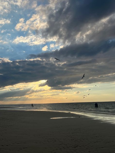 mayflower beach in cape code MA Old Cape Cod Aesthetic, Mayflower Beach Cape Cod, Province Town Cape Cod, Mashpee Cape Cod, Cape Cod Ma, May Flowers, Cape Cod, Cape