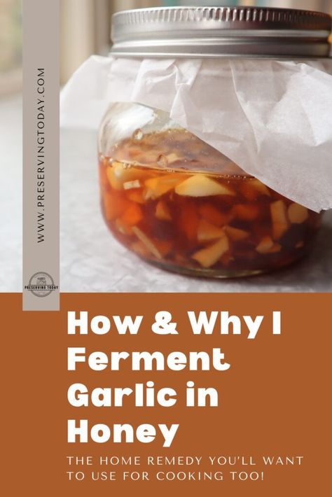 How To Make Fermented Garlic Honey, Garlic Fermented In Honey, Garlic Antibiotic Recipe, Garlic Honey Mason Jar, Fermented Honey Garlic Ginger, Honey Garlic Syrup, Honey Garlic Medicine, Honey Garlic Cold Remedy, Honey Garlic Elixir