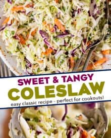 Hot Dog Slaw Recipe, Southern Coleslaw Recipe, Bbq Favorites, Southern Coleslaw, Apple Cider Vinegar Lemon, Country Food, Shredded Cabbage, Homemade Coleslaw, Kind Bars