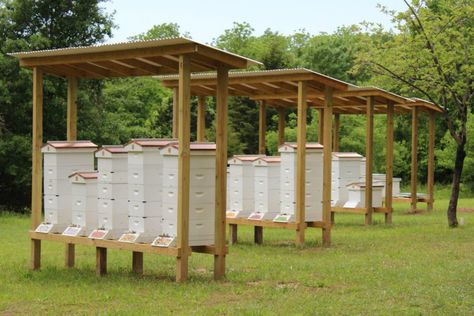 Beekeeping Business, Beehives Garden, Bee Stand Ideas, Bee Shed, Beekeeping Aesthetic, Bee Hive Design, Honey Farm, Bee Hives, Bee Garden Design