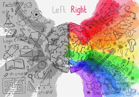 Language tends to be on the left, attention more on the right. However people don’t tend to have a stronger left- or right-sided brain network. Left Vs Right Brain, Left Brain Vs Right Brain, Left Brain Right Brain, Brain Tattoo, Left Brain, Left Handed People, Brain Art, E Mc2, Right Brain