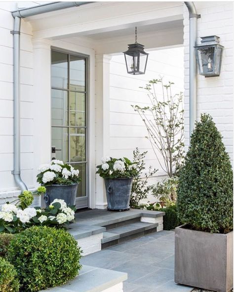 Front Porch Plants, Farmhouse Exterior Design, Porch Plants, Exterior Inspiration, Front Steps, Modern Farmhouse Exterior, House With Porch, Hello Lovely, Design Exterior