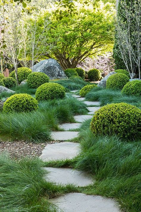 Contemporary Formal Gard Modern, Scott Shrader, Boulder Garden, Australian Garden, Garden Walkway, Stone Path, The Secret Garden, Mediterranean Garden, Garden Pathway