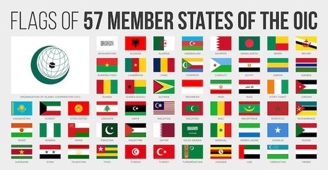 Oic member states flags flat national fl... | Premium Vector #Freepik #vector #turkey-flag #egypt-flag #azerbaijan-flag #round-flag Islamic Flag, Country Flags Icons, Egypt Flag, Turkey Flag, Azerbaijan Flag, Islamic Countries, Countries And Flags, National Flags, Muslim Countries