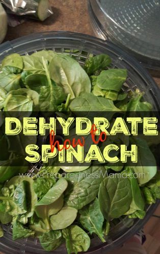 Dehydrate Spinach, Dehydrate Herbs, Garden Preservation, Dehydrating Recipes, Dehydrating Food Storage, Food Dehydration, Dehydrating Food, Preserving Foods, Dehydrated Foods