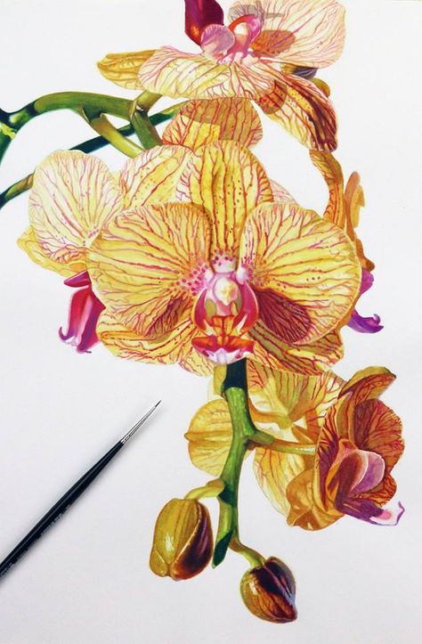 Orchids Painting, A Very Merry Christmas, Very Merry Christmas, Art Floral, Botanical Art, Floral Watercolor, Orchids, Merry Christmas, Pencil