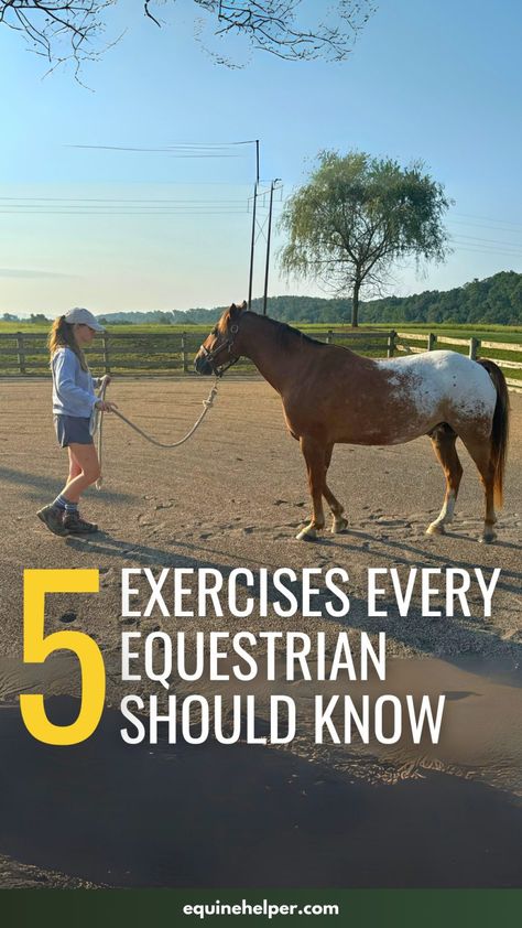 Essential Groundwork Exercises Every Equestrian Should Know Ground Work For Horses, Horse Training Ground Work, Horse Training Exercises, Horse Lessons, Riding Tips, Horse Exercises, Equine Therapy, Horse Info, Horse Riding Tips