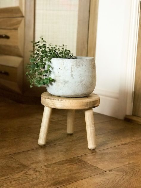 Plant Stool, Window Plant Shelf, Rustic Plant Stand, Chinese Plants, Peace Lily Plant, Rustic Stools, Garden Plant Stand, Corner Plant, Tall Plant Stands