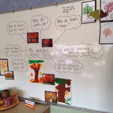 Inquiring Minds: Mrs. Myers' Kindergarten: The Autumn Season: Exploring Trees and Leaves and the Colors of Fall! Project Based Learning Kindergarten, Kindergarten October, Kindergarten Inquiry, Inquiry Project, Wonder Wall, Science Inquiry, Emergent Curriculum, Inquiry Learning, About Trees