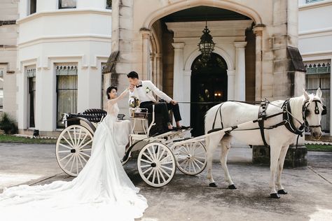 Wedding Carriage, Horse And Carriage Wedding, Fairytale Garden Wedding, Carriage Wedding, Fairytale Garden, Bridal Car, Horse Wedding, Australian Wedding, Horse Carriage