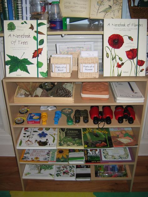 Nature Shelf, Kindergarten Goals, Learning Room, Botany Books, Homeschool Nature Study, Montessori Science, Nature School, School Garden, Winter Nature