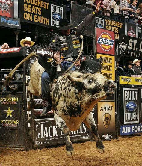 Rhett Eaton, Jess Lockwood, Pbr Bull Riders, Pbr Bull Riding, Bucking Bulls, Rockstar Energy Drinks, Bronc Riding, Madara Wallpaper, Professional Bull Riders