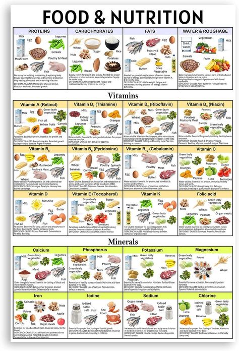 Nutrition Cheat Sheet, Nutrition Printables, Food Chart For Kids, Food Nutrition Chart, Nutritional Plan, Vitamin Charts, Healthy Food Art, Healthy Food Chart, Vegetable Chart