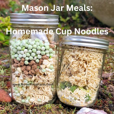 Jelly, Diy Ramen, Mason Jar Soup, Mason Jar Mixes, Jar Mixes, Freeze Dried Meat, Freeze Dried Vegetables, Dry Soup Mix, Jar Meals