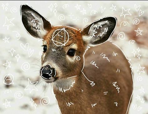 Deer Antlers Drawing, Deer Therian, Antlers Drawing, Deer Mask, Female Deer, Fawns Deer, Warrior Cat Drawings, Vulture Culture, Whitetail Deer