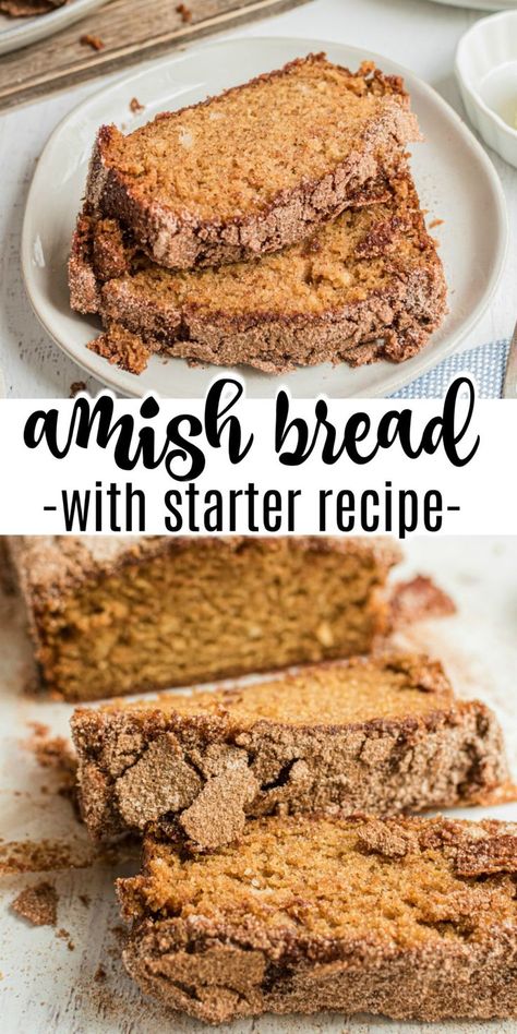 Amish Bread Starter, Amish Bread Recipes, Amish Cinnamon Bread, Amish Friendship Bread Starter Recipes, Friendship Bread Recipe, Cinnamon Bread Recipe, Amish Bread, Amish Friendship Bread, Friendship Bread