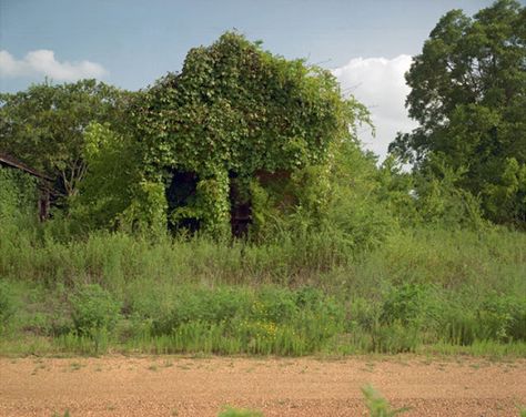 William Christenberry, Hannah Wilke, Richard Misrach, Harry Callahan, William Wegman, Walker Evans, Photo 1, Color Photography, Birmingham