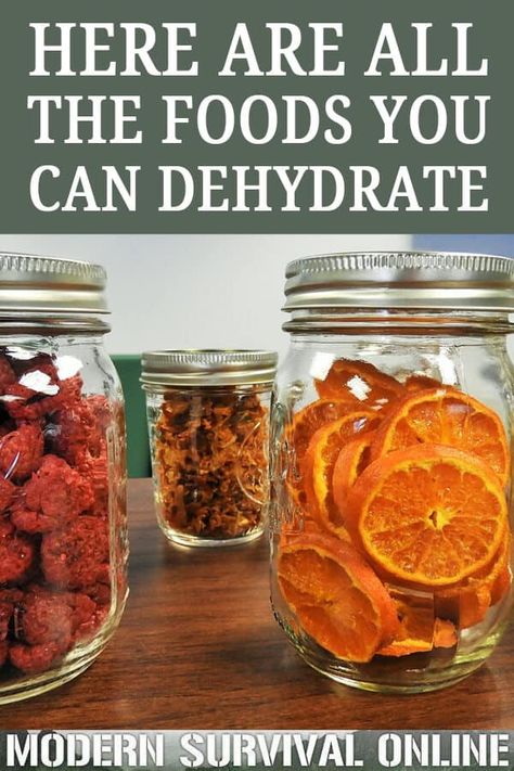 Dehydrator Recipes Fruit, Dehydrating Food Storage, Food Dehydration, Plat Vegan, Dehydrated Vegetables, Canning Food Preservation, Vegetarian Lifestyle, Dehydrated Fruit, Dehydrated Food