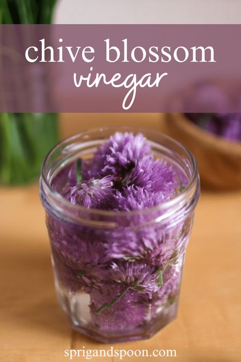 chive-blossom-vinegar Chive Flowers Recipe, Chive Flowers, Chives Plant, Flavored Vinegars, Infused Vinegars, Chive Flower, Chive Blossom, Edible Confetti, Onion Flower